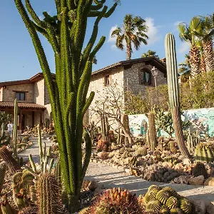Casa rural Garden Cactus, Villaggio Mosè
